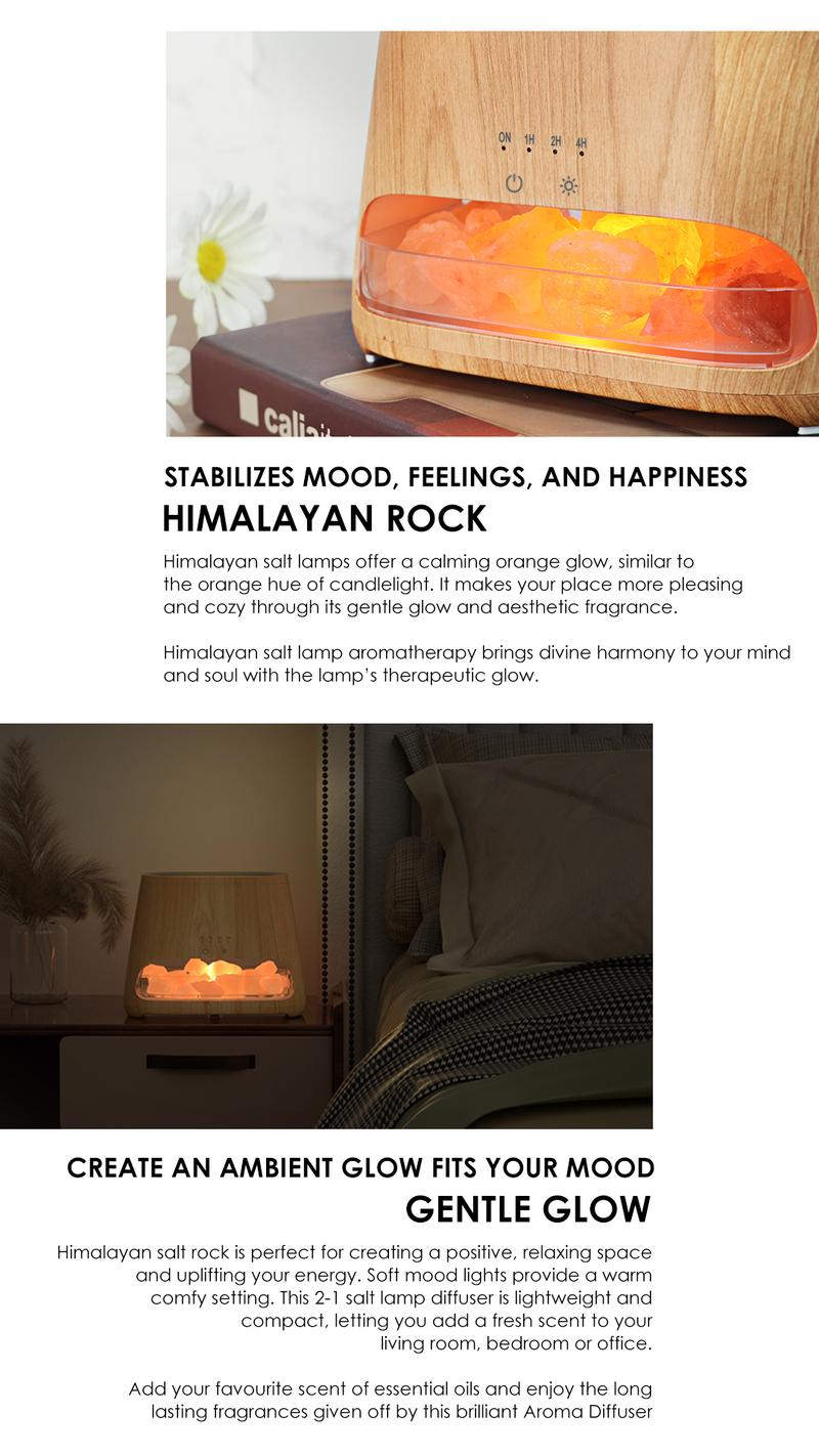 (2-Pack Bundle) SALKING 2-in-1 Air Purifier & Humidifier for Home&Office, Essential Oil Aroma Diffuser With LED Night light Salt Lamp, Home Decor, For Smoke & Pets