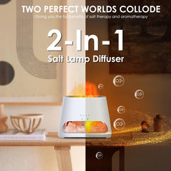 (2-Pack Bundle) SALKING 2-in-1 Air Purifier & Humidifier for Home&Office, Essential Oil Aroma Diffuser With LED Night light Salt Lamp, Home Decor, For Smoke & Pets